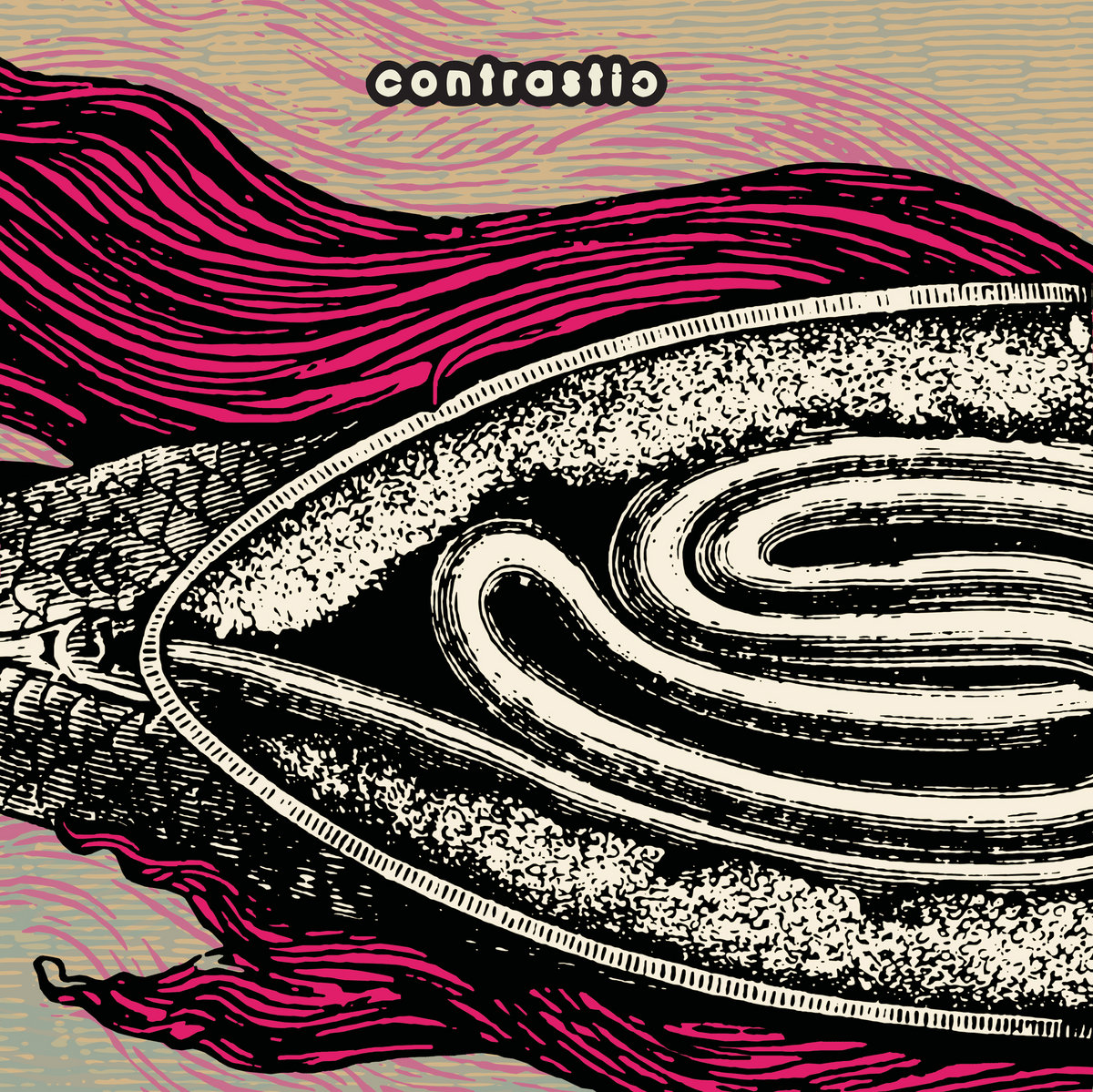 Album associé à la Cestina par La Malpolon. Constrastic - Contrastic