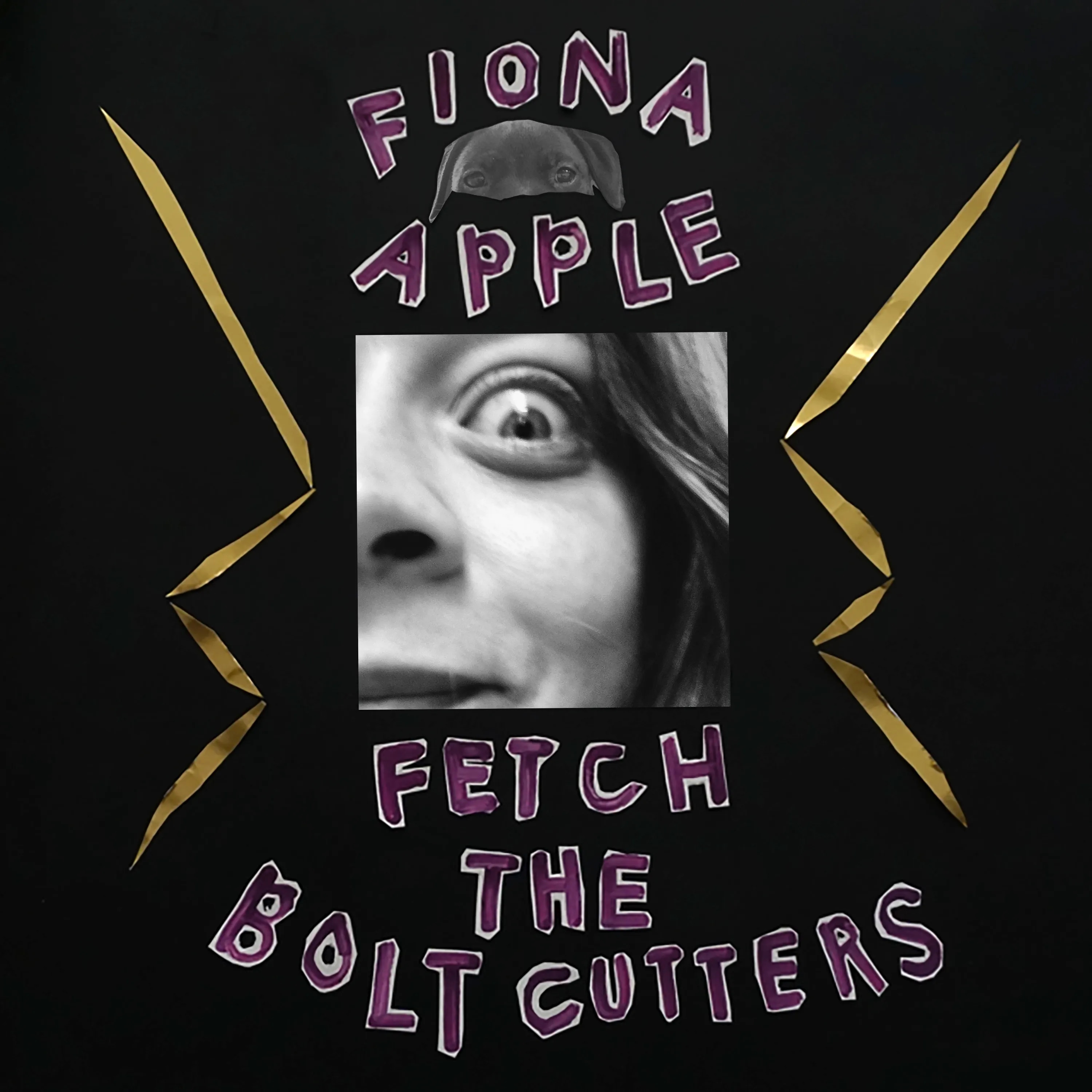 Album associé à la Naughty and Nice - Coconut Milk Chocolate. Fiona Apple - Fetch the Bolt Cutters 